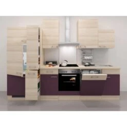 Flex-Well Exclusiv Küchenzeile Focus 310 Cm Akazie Nachbildung Aubergine 7 Flex-Well Exclusiv Küchenzeile Focus 310 Cm Akazie Nachbildung Aubergine -Obi Kuche Geschaft 51 block p3111 focus neu 1