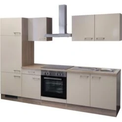 Flex-Well Exclusiv Küchenzeile Orlando 270 Cm Kaschmir Glanz-Sonoma Eiche 7 Flex-Well Exclusiv Küchenzeile Orlando 270 Cm Kaschmir Glanz-Sonoma Eiche -Obi Kuche Geschaft 7 002 nepal freigestellt 2